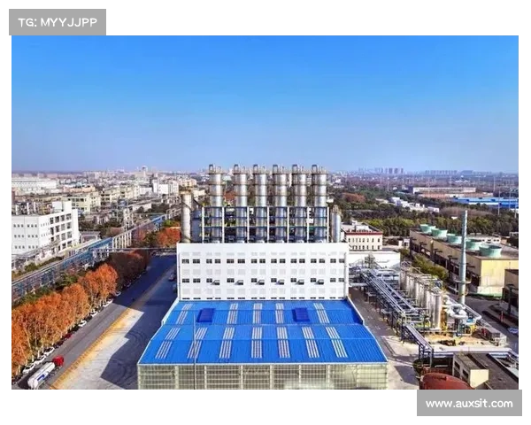 我国首套年产50万吨新一代瓶片装置成功投产 我国首套年产50万吨新一代瓶片装置成功投产