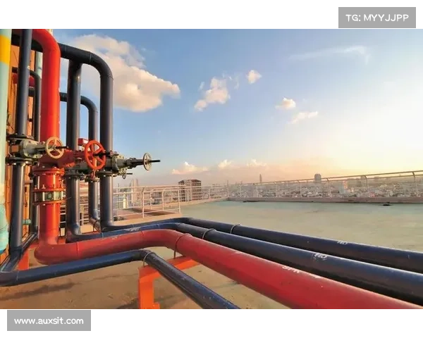 “两桶油”油气管道等资产拟售国家管网 “两桶油”油气管道等资产拟售国家管网